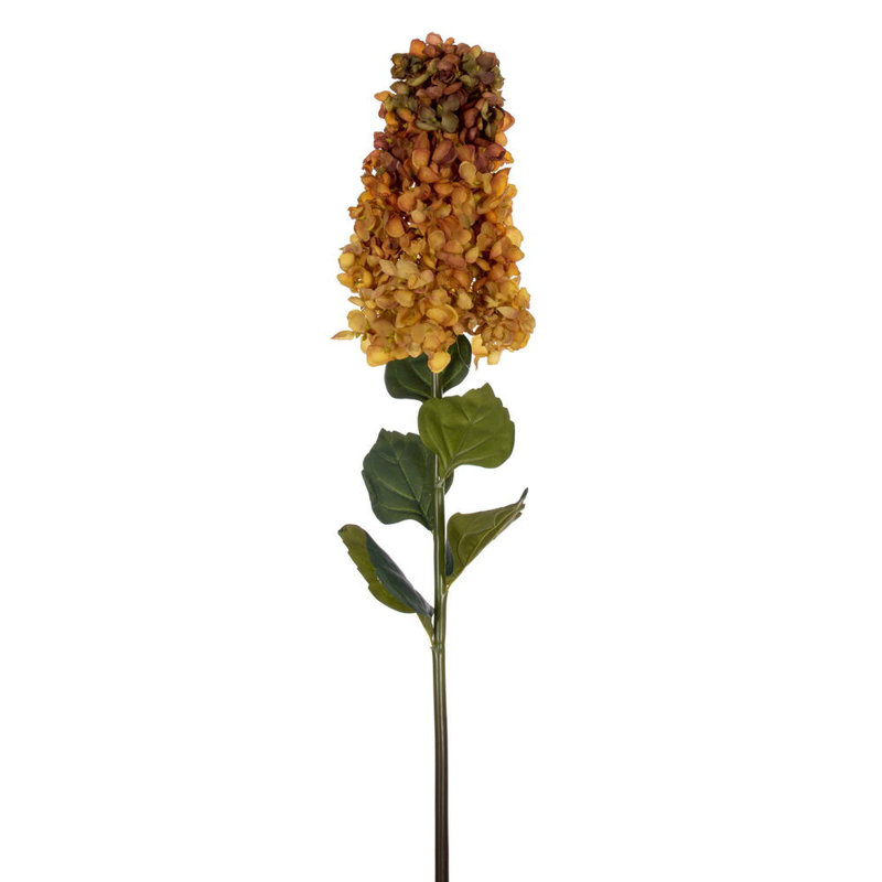 Hydrangea Stem, Yellow