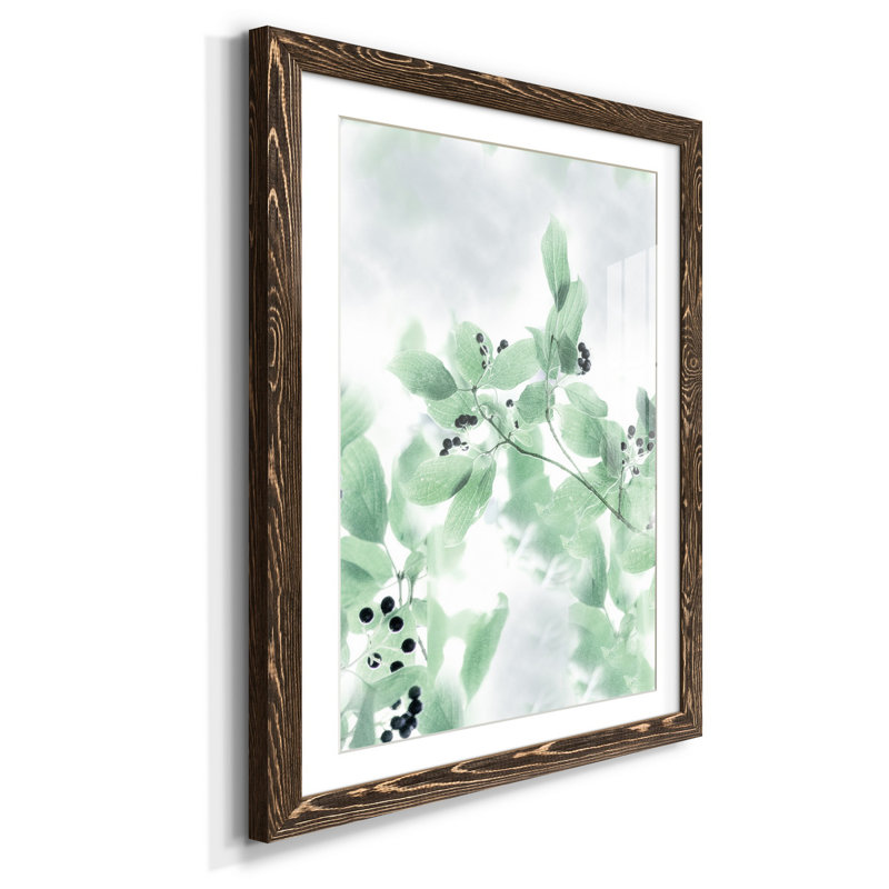 Berry Bright II - Reproduction d'art graphique sur papier encadré, Noyer, H 31,5 po x l 23,5 po x P 1,5 po
