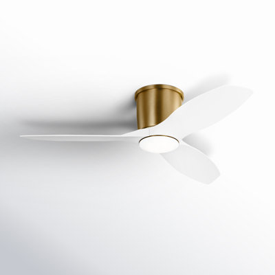 Aisling Ceiling Fan with LED Lights