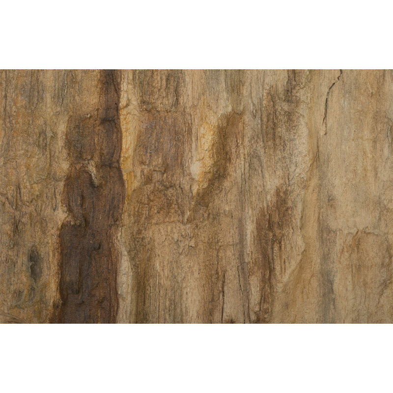 Décoration murale en bois pétrifié Cast Naturals