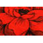 Tapis rouge Vesta-1335240177