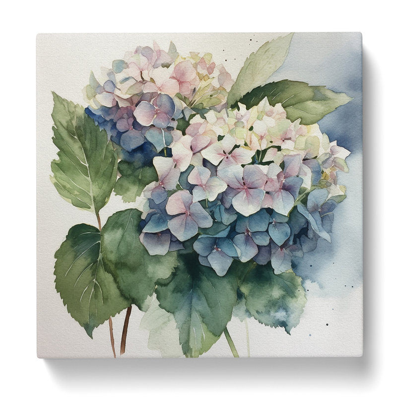 Hydrangea Watercolour No.2 - Print