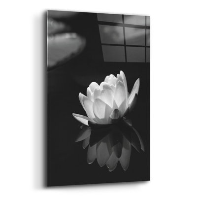 On Plastic/Acrylic Print