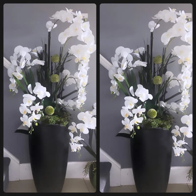 Orchid Arrangement in Planter