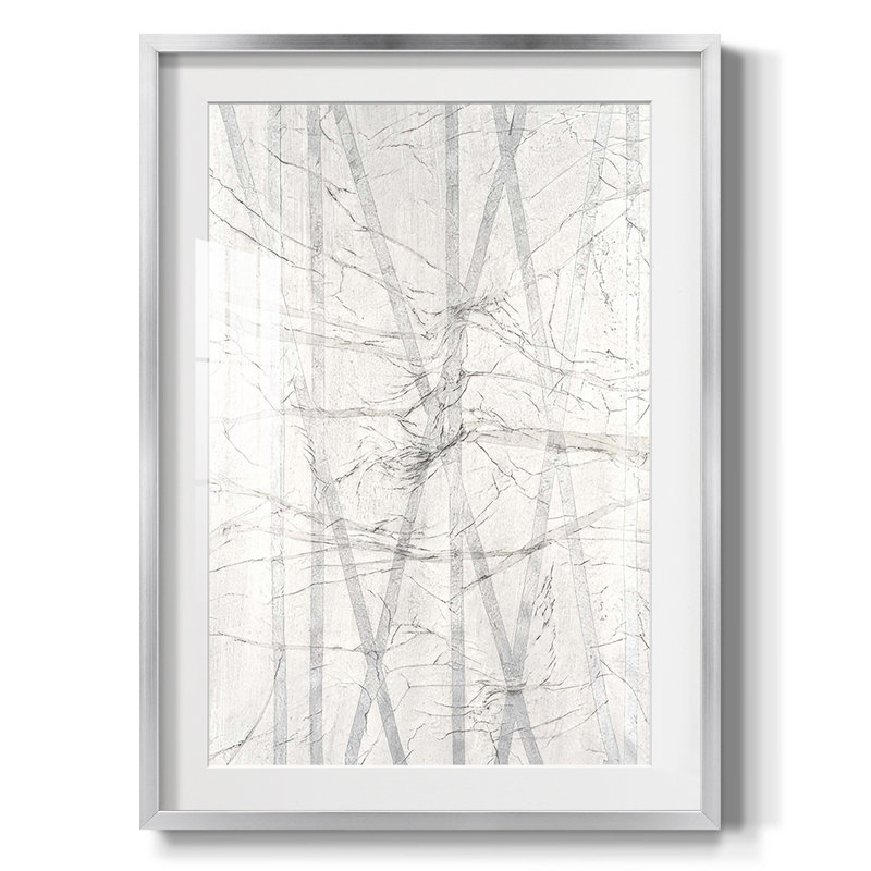 «Pewter Forrest II», reproduction encadrée, Blanc, Papier avec cadre argenté