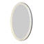 Montreal Flat Glass Beveled Lighted Wall Mirror