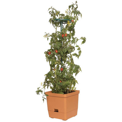 Planter Box