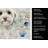 White Havanese Coastal Sea Glass Kitchen Towel-871464052