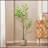 150CM ARTIFICIAL DISC LEAF TREE-363329149