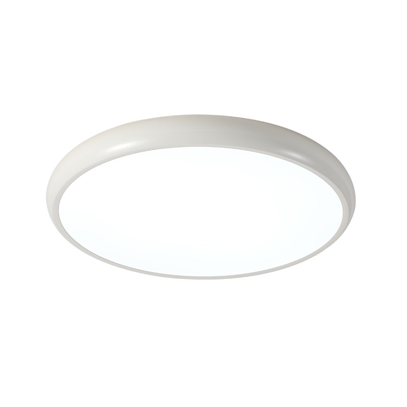 Modern Round LED Flush Mount Ceiling Light, Silver