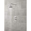 Esser Double Concealed Thermostatic Shower Valve