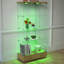Vitrine moderne en verre avec 2 grands tiroirs-232972417