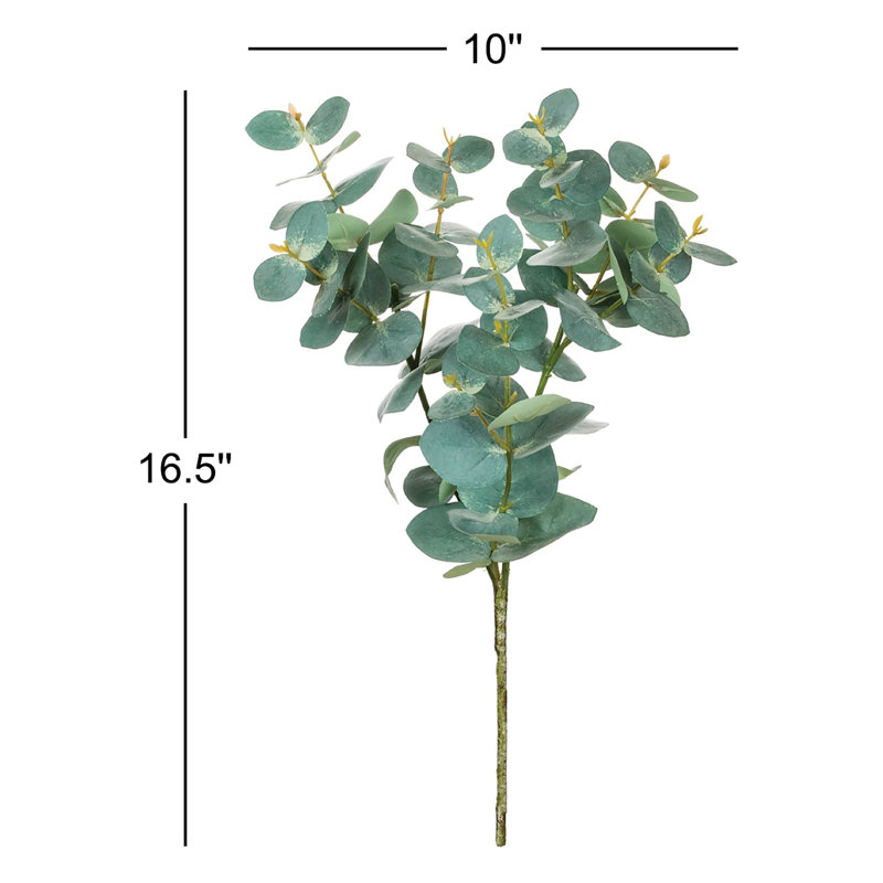 Jet d'eucalyptus Toscani