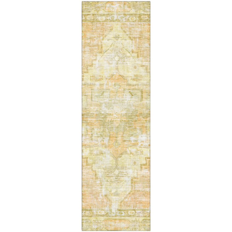 Premium Machine Washable Lucchesi AMF1729 Global Rug, Runner 2'3" x 7'6"