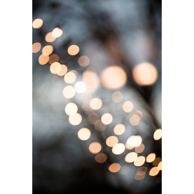 Wrapped Canvas Print, 76.2 cm H x 50.8 cm W