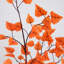Arbre d'automne artificiel en bouleau-2101534752