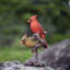 Polyresin Garden Statue