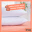 Snug Snuggle Up Pillow Pair