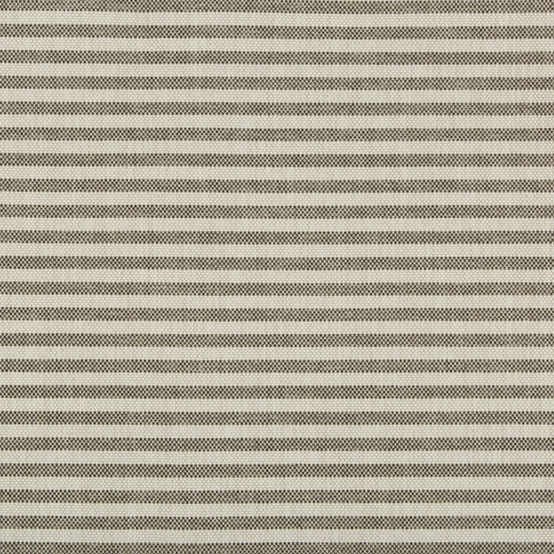 Terra Firma II Rayas Stripe Fabric, Soot