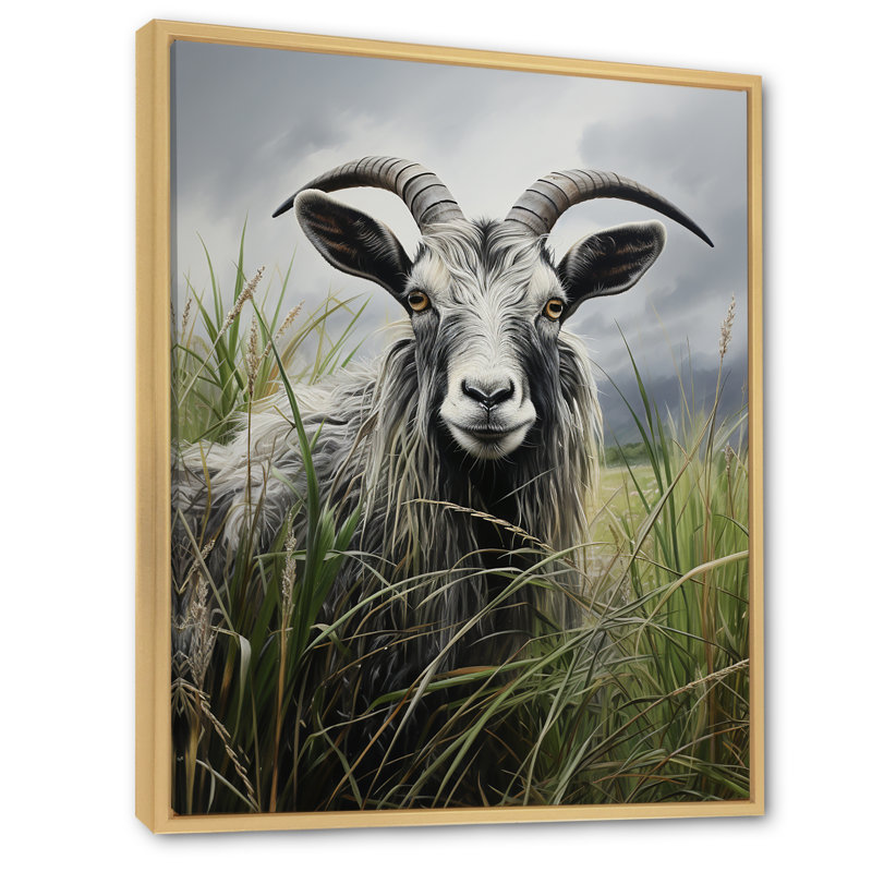 «Grey Meadow Buck Goat Peaks», art mural animal de chèvre, Cadre flottant brun, H 44 po x l 34 po x P 1,5 po