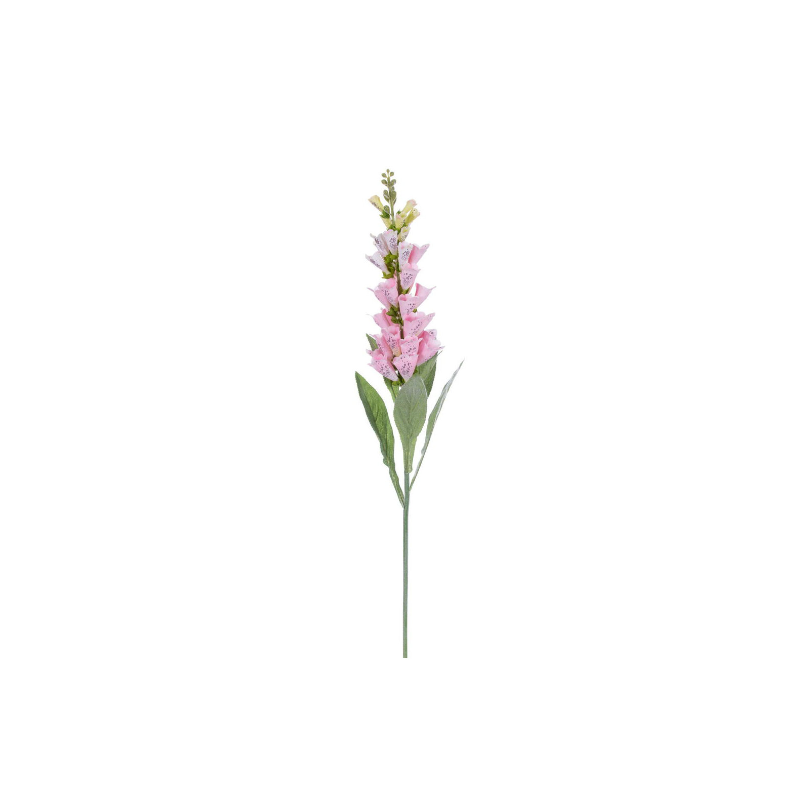 Fuchsia Stem, Pink