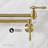 Plaisir Retractable Wall Mount Pot Filler Faucet-109110370