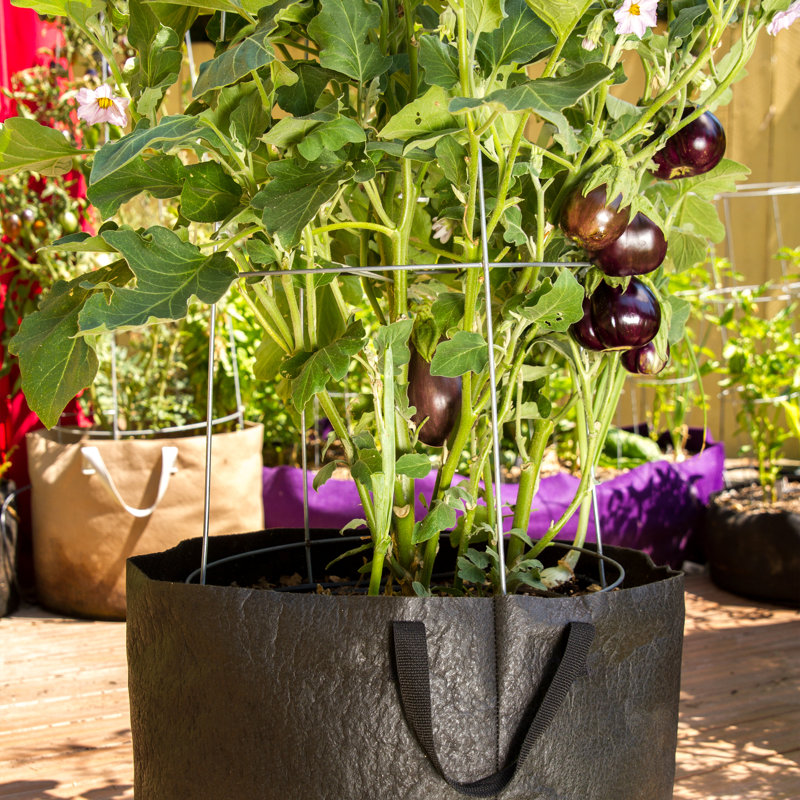 Pot Planter, Black, 15.5 x 20 x 20
