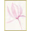 Tulip Magnolia Single Giclee Print by Susan Hable