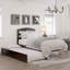 Lit plateforme en bois massif avec lit gigogne Elliana-177901082-177901083