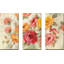 " Brushy Roses " 3 - Pieces-1899571666