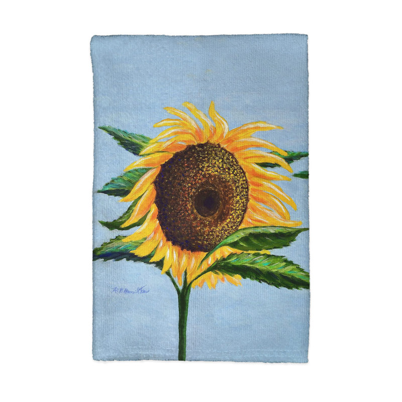 Dish Cloth Kitchen Towel