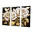 Toile tendue
