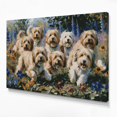 Dogs Havanese Gray Canvas Wall Art