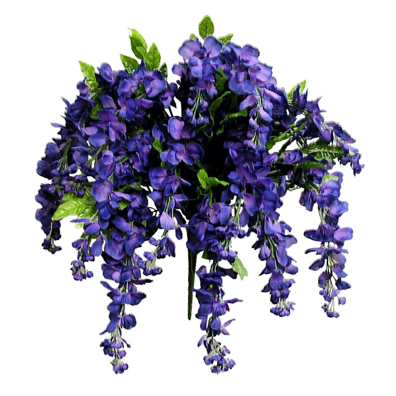 Tiges de glycine, Mauve