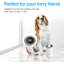 Nettoyeur de patte pour chien