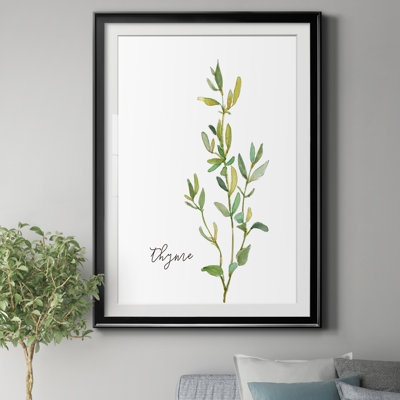 " Fresh Sprig Thyme " Painting Print