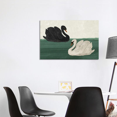 Black Swan White Swan_1PC6