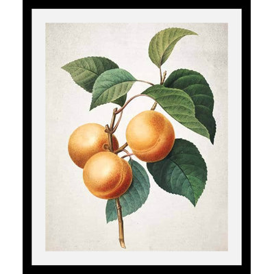 Fidel - Single Picture Frame Print
