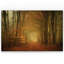« early light », reproduction de photo-928471544-928471424