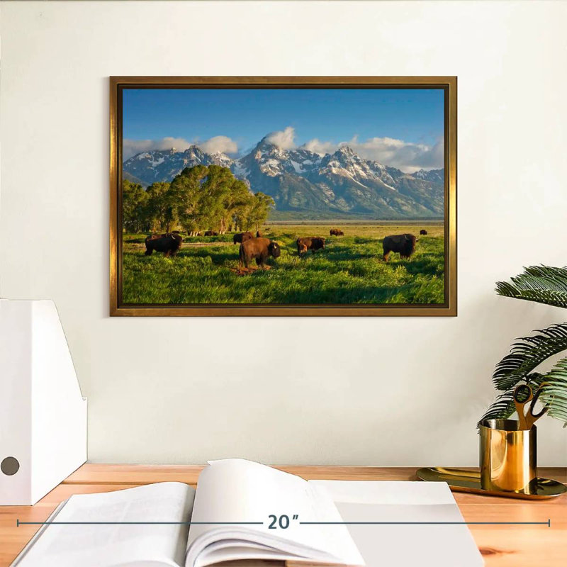 Bison de Grand Teton, Cadre flottant doré, 13 po x 9 po