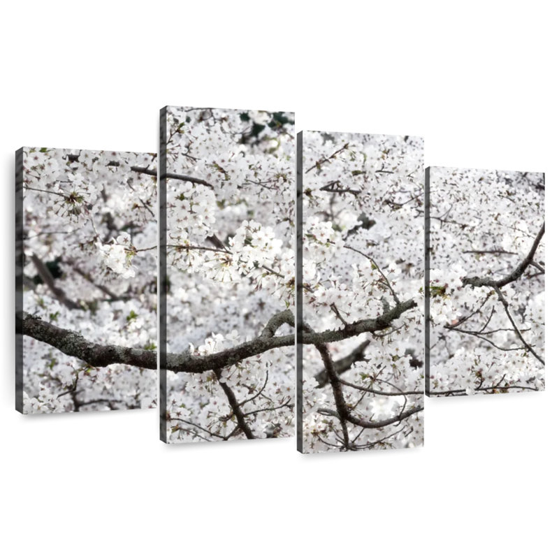 Harnek Sakura Cherry Blossom