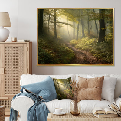 Sentier brumeux dans les bois II - impression