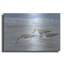 Dovecove «Sandpipers II» par Tim O'Toole, art mural en métal-1975990800