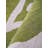 Rhoda Hand Tufted Wool Eco-Friendly Area Rugs - Beige Green Color | Floral Design | Area Rugs for Living room, Bedroom-125888344