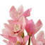 Bouquet Of Cymbidium Orchids Pink And Peach Tones Real Touch 36 Pcs/2Varieties