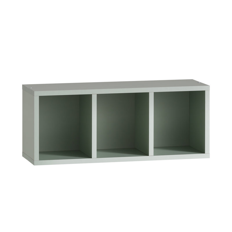 60 x 113 cm Cyril Wall-Mounted Bathroom Cabinet, Pistachio
