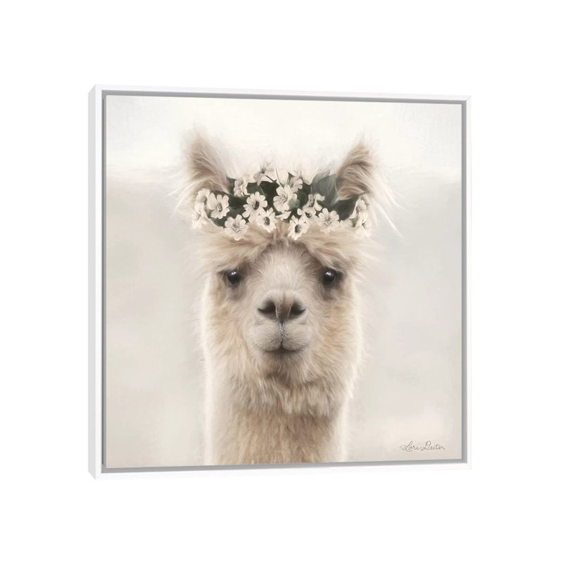 «Alpaca with Flowers» par Lori Deiter - impression d'art graphique, H 37 po x l 37 po x P 1,5 po, Toile blanche encadrée