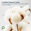 Oreiller en duvet 100% coton biologique (grand, moyen), collection Pacific Coast Luxury Hotel-129417198-129417200