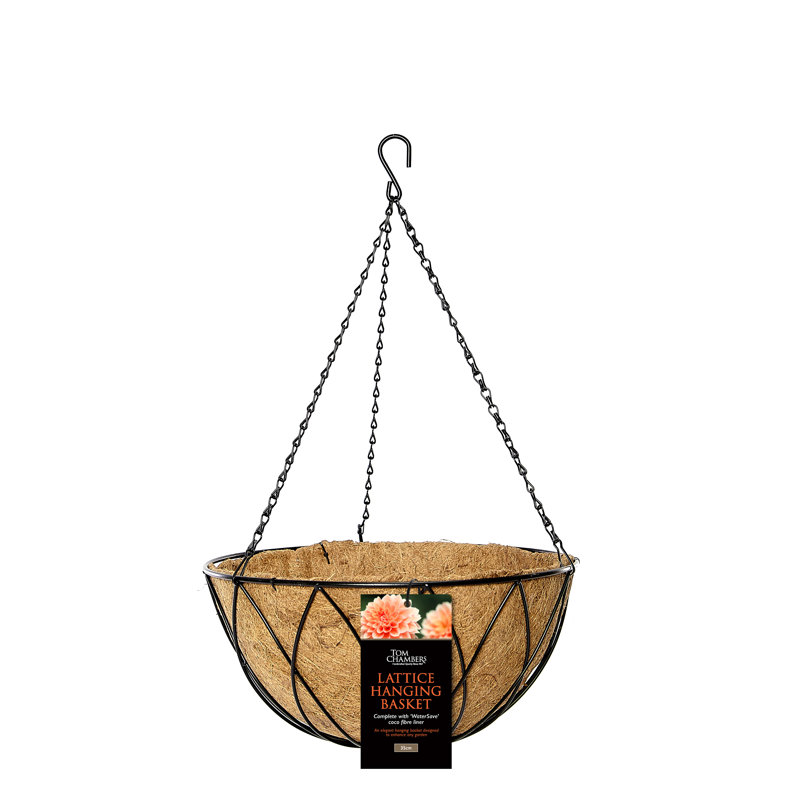 Caziyah Metal Plant Hanger