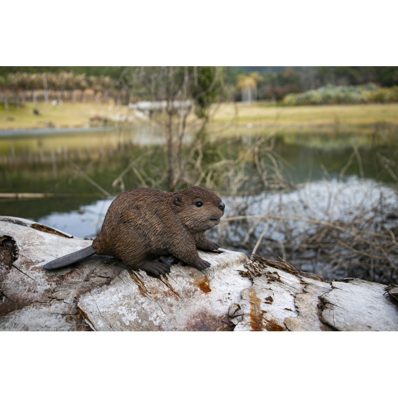 American Beaver Cub Statue